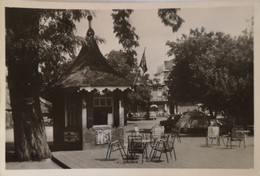 Ommen // Hotel - Cafe Stegeman (terras Verkoop Kiosk) 1964 - Ommen