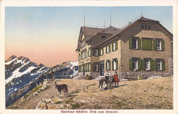 Suisse - C -  Appenzell - Gasthaus Schafler - Blick Zum Altmann Colorisée Chevres Ziege Goat - Otros & Sin Clasificación