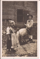 Suisse - C -  Appenzell - Appenzeller Trachten Noir Et Blanc Ziegen Chevre Goat - Appenzell