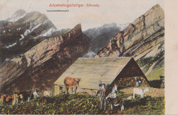 Suisse - Appenzell - Alpsteingebirge Altenalp Colorisée Vache Chalet  Ziegen Chevre Goat - Appenzell