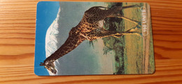 Phonecard Tanzania - Giraffe - Tanzanie