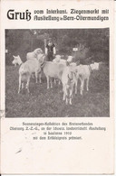 Suisse - Schwyz - Gruss Vom Interkant. Ziegenmarkt Mit Aussitellung In Bern-Oltermundingen Ziege Chevre Goat - Altri & Non Classificati