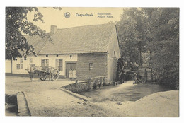 DIEPENBEEK  -- Royermolen  -  Moulin Royer - Diepenbeek