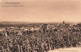 CPA Vignes - Vendanges - Les Vendanges A Le Mesnil Sur Oger - Moet Et Chandon - Tres Animé - Weinberge