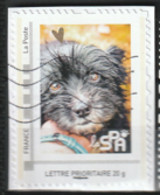 FRANCE Montimbramoi Collector SPA CHIEN Oblitéré - Oblitérés