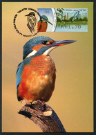 ISRAEL (2010) Carte Maximum Card ATM - Alcedo Atthis, Common Kingfisher, Martin-pêcheur, Eisvogel - Bird, Oiseau - Tarjetas – Máxima