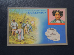 La REUNION. CPA Publicité Lion Noir.Colonies Françaises.St Denis. St André. St Paul.  St Leu. St Pierre.Piton Des Neiges - Réunion