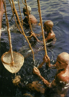 Bahrain, Native Pearl Diving, Jewelry (1980s) Postcard - Bahrein