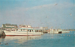 MONTAUK - Long Island, Bateaux. - Long Island