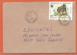 W.W.F. CAMEROUN LETTRE SINGES DE 1989 - Storia Postale