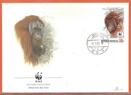 W.W.F. INDONESIE 4 LETTRES FDC SINGES DE 1989 - Storia Postale