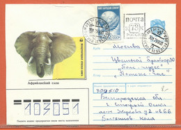 W.W.F. RUSSIE ENTIER POSTAL ELEPHANT DE 1990 - Storia Postale