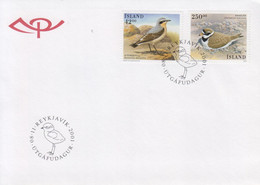 Enveloppe  FDC  1er  Jour    ISLANDE    Oiseaux    2001 - FDC