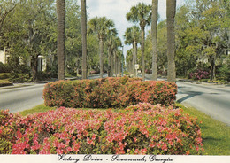 Postcard Victory Drive Savannah Georgia My Ref B25722 - Savannah