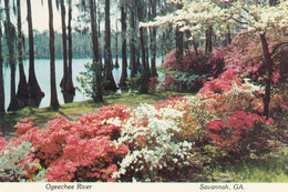 Postcard Ogeechee River Savannah Georgia My  Ref B25725 - Savannah