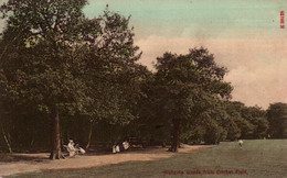 London - Highgate, Woods From Cricket Field - Cricket