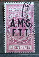 TRIESTE A - AMG FTT  - MARCA DA BOLLO  ATTI AMMINISTRATIVI - LIRE 30 - Revenue Stamps
