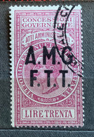 TRIESTE A - AMG FTT  - MARCA DA BOLLO  ATTI AMMINISTRATIVI - LIRE 30 - Steuermarken