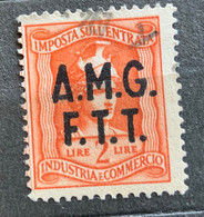 TRIESTE A - AMG FTT  - MARCA DA BOLLO  IMP. ENTRATA L. 2 - Revenue Stamps