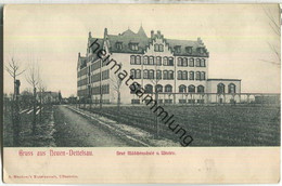 Neuendettelsau - Mädchenschule Von Westen - Verlag A. Mendner Uffenheim Ca. 1910 - Neuendettelsau
