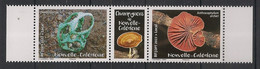NOUVELLE CALEDONIE - 2022 - N°Yv. 1416 à 1417 - Champignons - Neuf Luxe ** / MNH / Postfrisch - Neufs