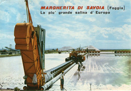 B 4824 -  Margherita Di Savoia - Barletta