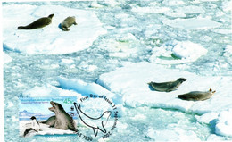 Australian Antarctic Territory 2001 Leopard Seals,Leopard Seal Group,maximum Card - Cartes-maximum