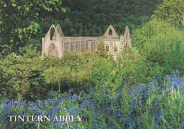 Postcard Tintern Abbey Monmouthshire Wales[ Bluebells ] My Ref B25754 - Monmouthshire