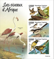 Togo 2022, Animals, Birds Of Africa, Flamingo, 3val In BF IMPERFORATED - Flamants