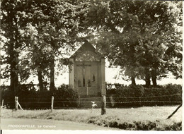 CP De FROIDCHAPELLE " Le Calvaire " - Froidchapelle