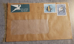 RSA SOUTH AFRICA AIR MAIL ENVELOPPE LETTER CIRCULED - Luftpost