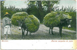 24358 -  MEXICO VINTAGE POSTCARD - ETHNIC POSTCARD: DONKEYS \ BURROS CARGADOS DE - Amérique