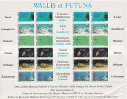 WALLIS ET FUTUNA - 1981 - FAUNE ET FLORE AQUATIQUE - FEUILLET COMPLET YVERT N° 267/272 ** MNH - COTE = 72 EUR. - Blocks & Kleinbögen