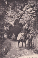 Vers Albeuve, Muletier Aux Gorges De L'Evi - Albeuve