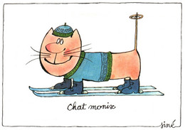 SINE / SERIE CHAT / CHAT MONIX - Sine