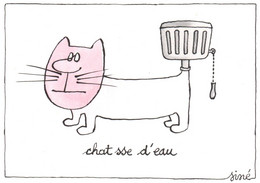 SINE / SERIE CHAT / CHAT SSE D EAU - Sine