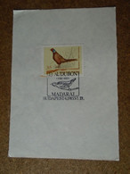 D191044   Hungary  Commemorative Handstamp  - Oiseaux Birds J.J. Audubon  -1985 Budapest - Autres & Non Classés