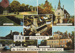 44 - Carte Postale Semi Moderne De SAINT ETIENNE DE MONTLUC  ( Multi Vues ) - Saint Etienne De Montluc