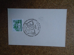 D191116 Hungary  -Commemorative   Handstamp  - 75 Years   Breeder's Association  - UICL -Tihany  Dog Chien Hund - Other & Unclassified