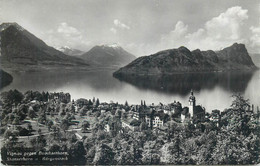 Europe Switzerland Zurich USTER Vierwaldstattersee Vitznau Lake Scene Buochserhorn Postcard - Uster