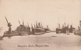 NEWPORT - ALEXANDRA DOCKS - Monmouthshire