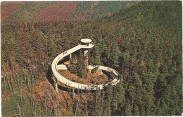 AC2853 Tennessee Smoky Mountains - Clingman's Dome Eagle Eye View / Viaggiata 1964 - Smokey Mountains