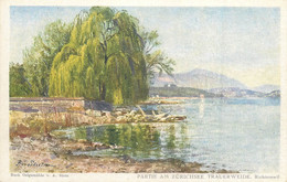 Switzerland Zurich RICHTERSWIL Partie Am Zurichsee Trauerweide Postcard - Richterswil