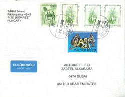 HUNGARY - 2012 - STAMPS  COVER  FROM  BUDAPEST TO DUBAI. - Brieven En Documenten