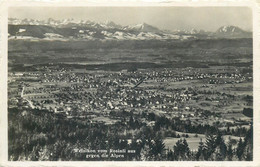 Switzerland Zurich WETZIKON Vom Rosinii Aus Gegen Die Alpen 1937 Postcard - Wetzikon