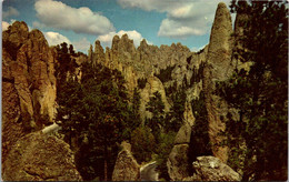 South Dakota Custer State Park - Other & Unclassified