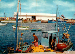 Lesconil * Vue Sur La Criée * Pêcheurs - Lesconil