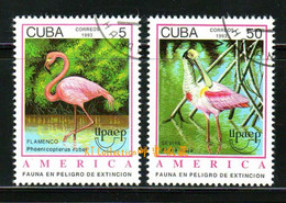 Cuba 1993 America Endangered Animals Animal Birds Bird Phoenicopterus Ruber Flamingos Flamingo Stamps USED - Gebruikt