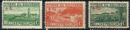 LUXEMBOURG 1921: Les Y&T 137-139 Neufs* - 1914-24 Marie-Adelaide