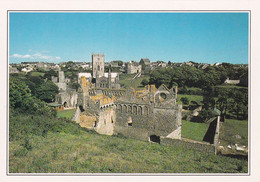 A19650 - THE RUINS OF ST MARY'COLLEGE AT ST DAVID PAYS DE GALLES RUINES DU COLLEGE ST MARY WALES POST CARD UNUSED - Pembrokeshire